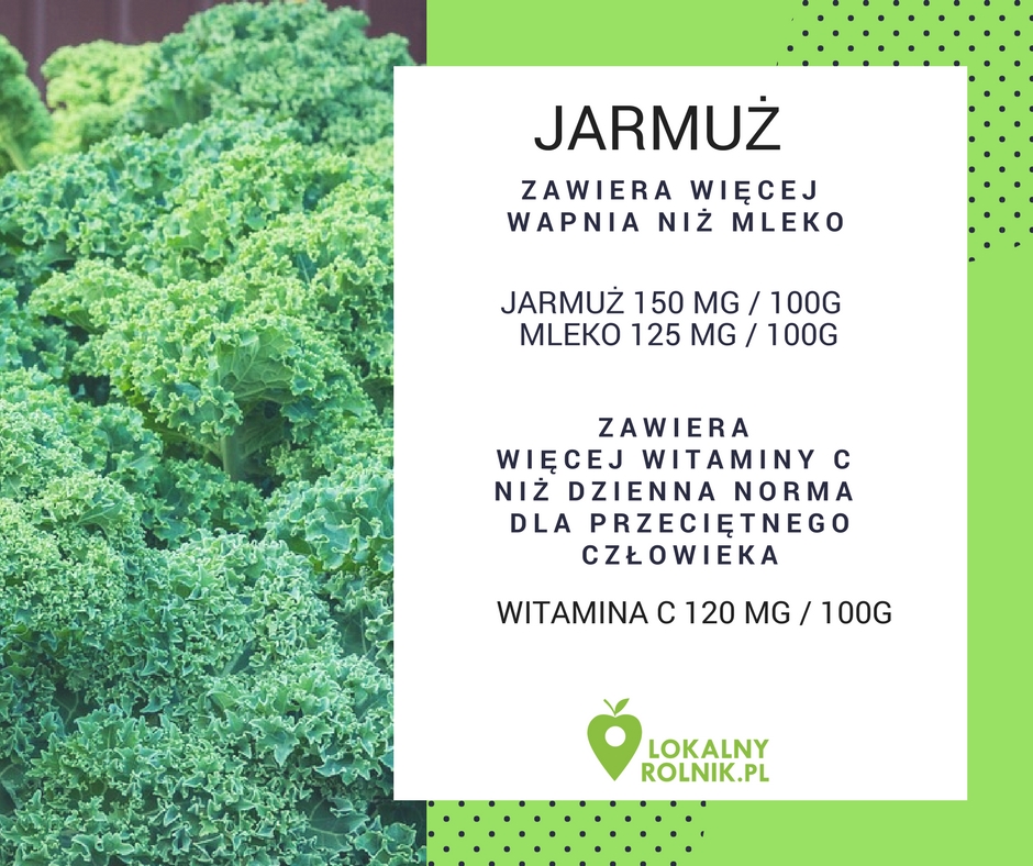 jarmuz_ciekawostki